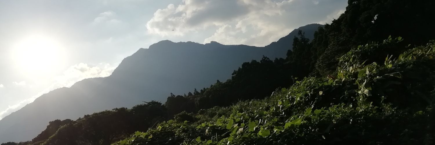 mihohoho0929's profile banner image