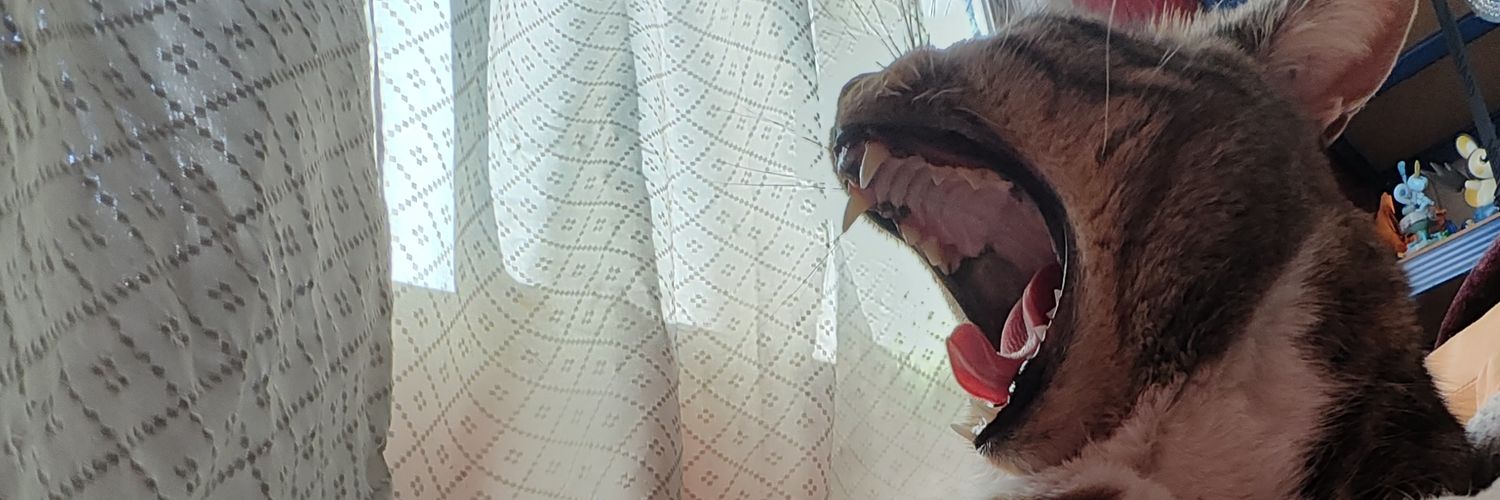 Thizzaree's profile banner image