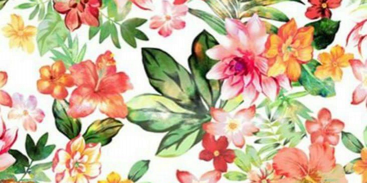 Ro 📚✨✌️ banner
