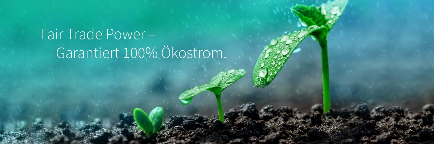 Christian Spitzner banner