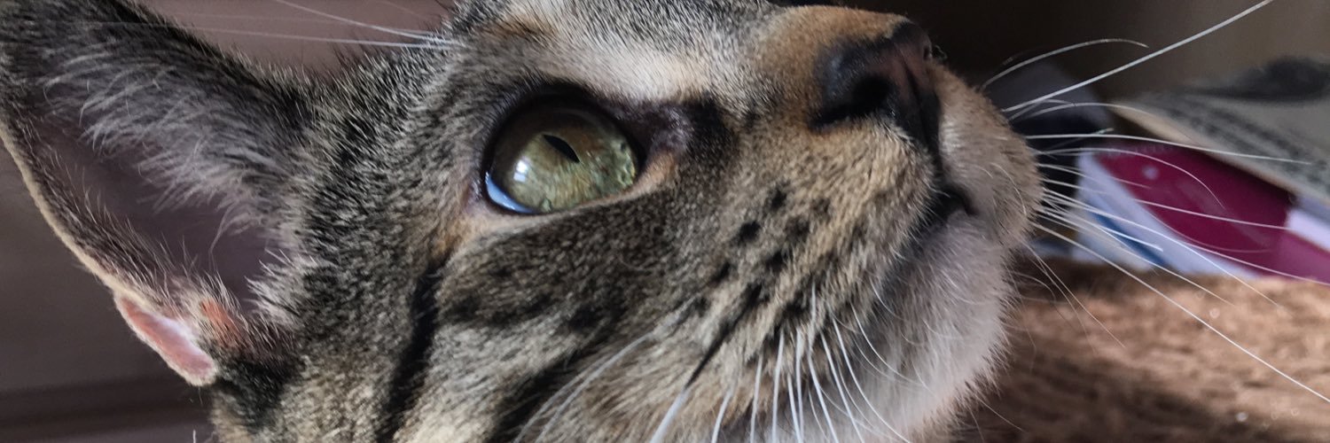 J_brown810's profile banner image