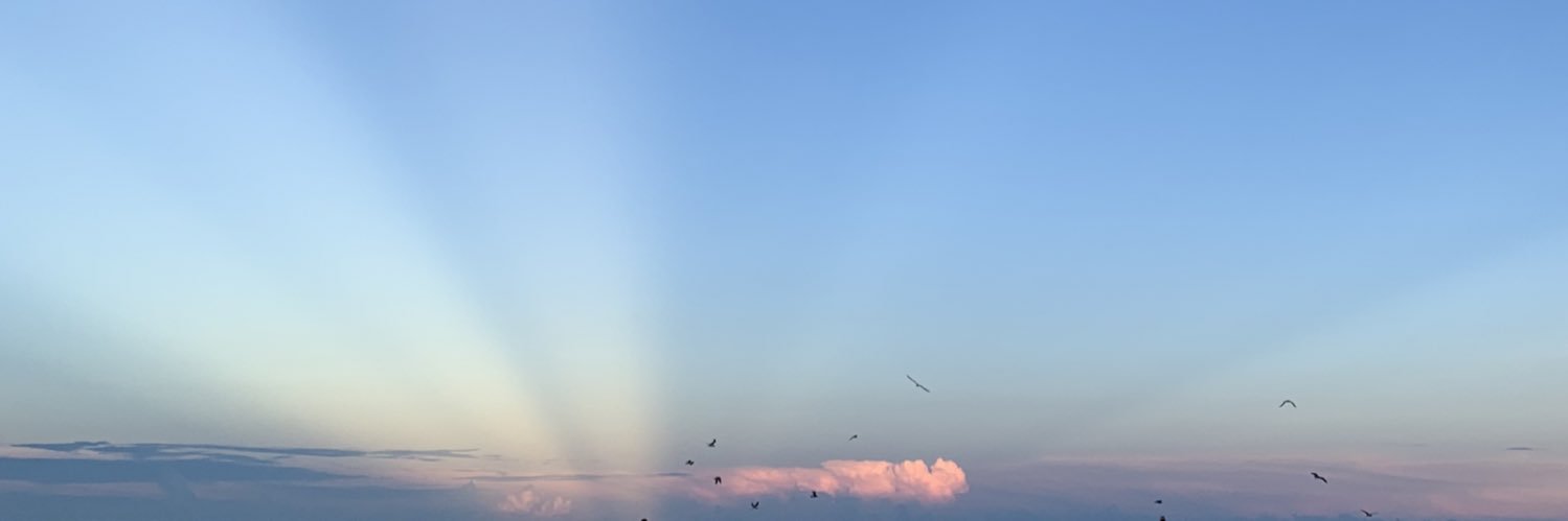 nicolepadua's profile banner image