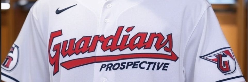Guardians Prospective's banner