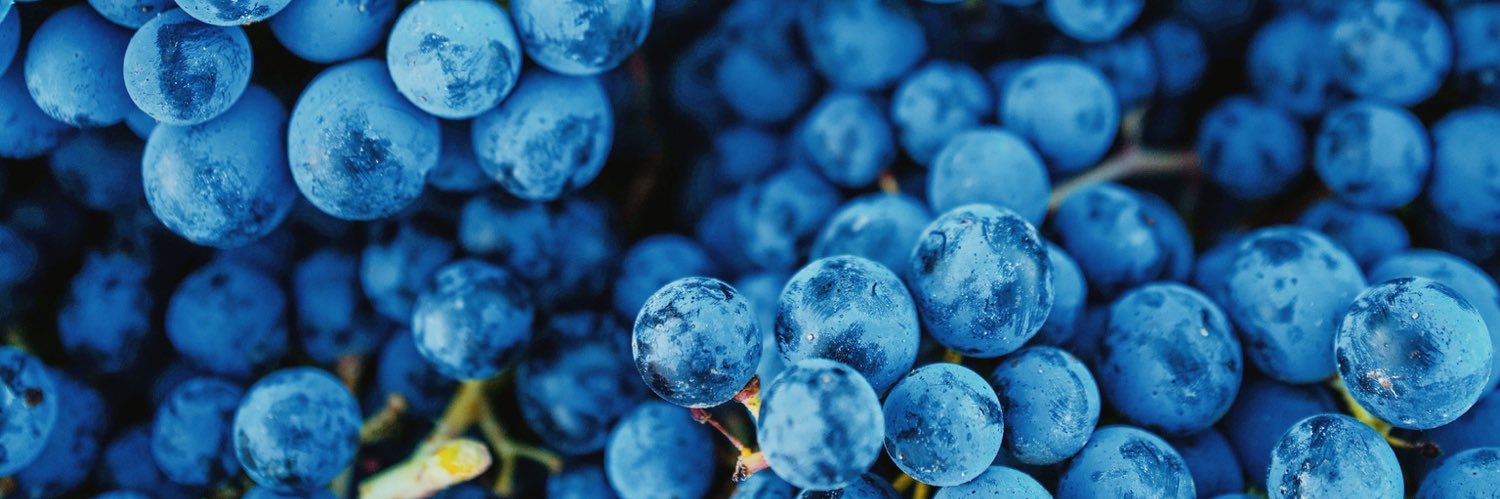 Pascal Carole banner