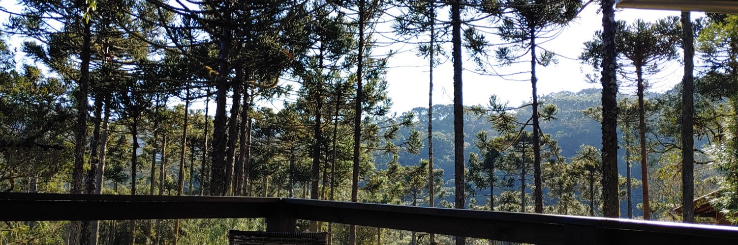 CamposNicolas18's profile banner image