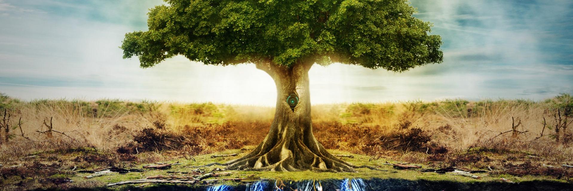 @nuher001 ♦ numa26 banner