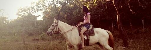 LorenaBeatrizz's profile banner image
