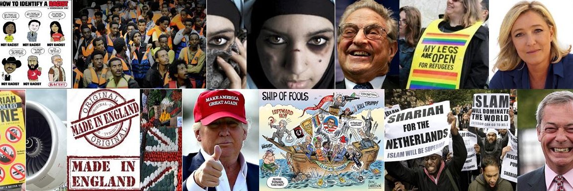 truthcrusader banner