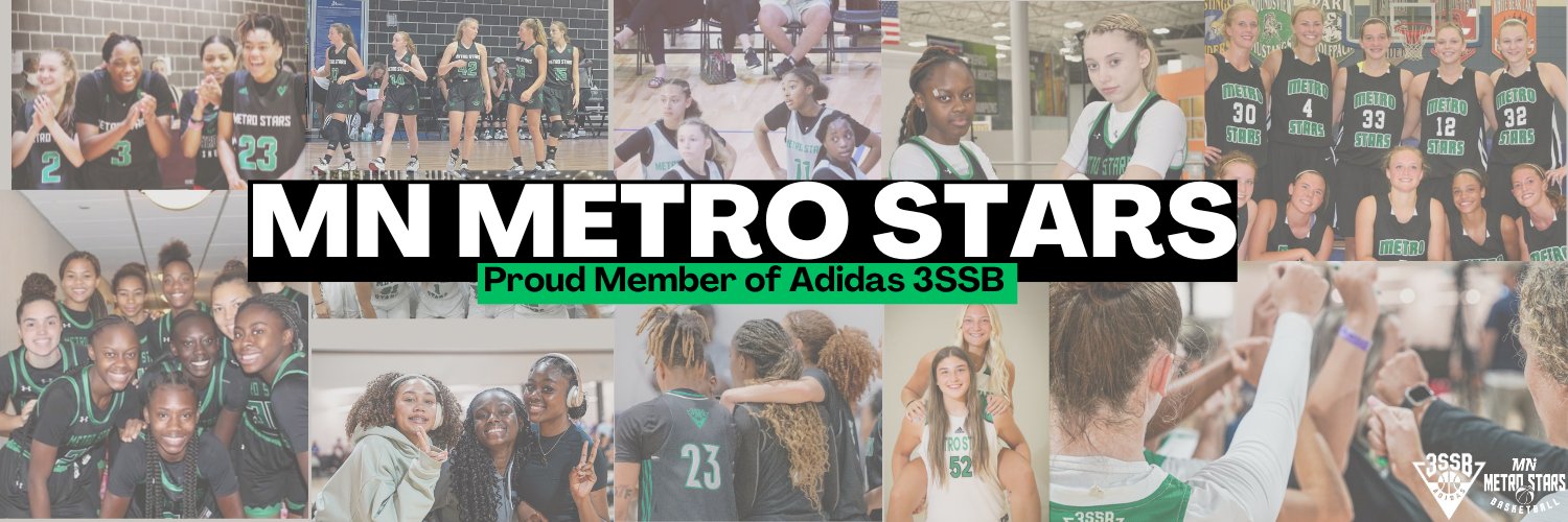 MN Metro Stars's banner