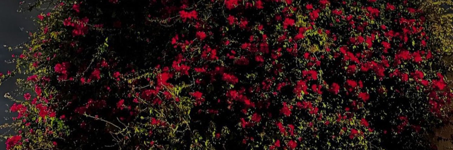 ii_da123's profile banner image