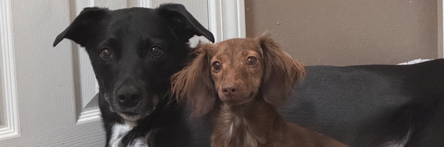 masonrayy11's profile banner image