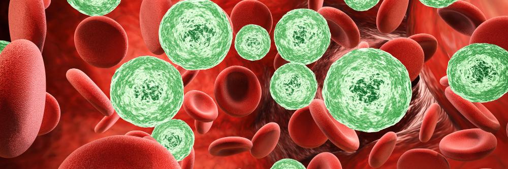 Hartley Taylor banner