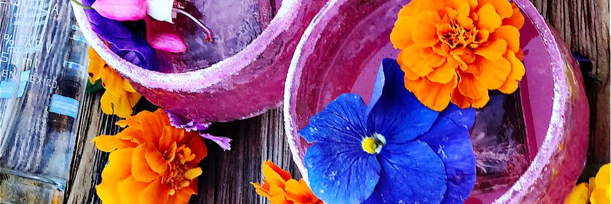 themargaritamum's profile banner image