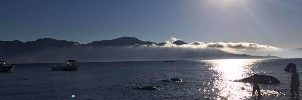 renatafollmann's profile banner image