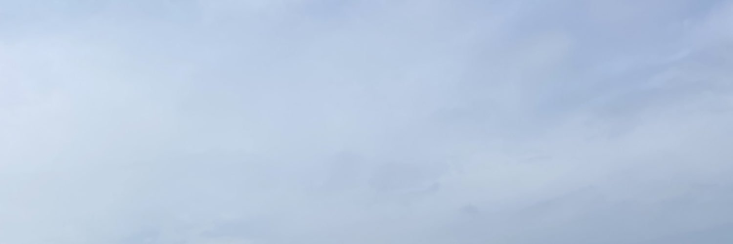 Elizabeth Snower banner