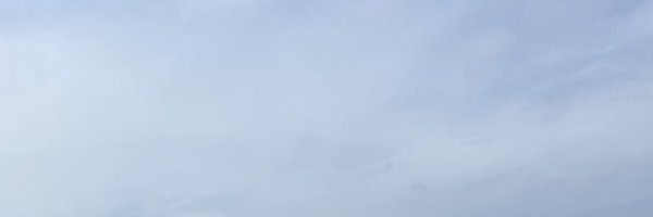 elizabethsnower Profile Banner