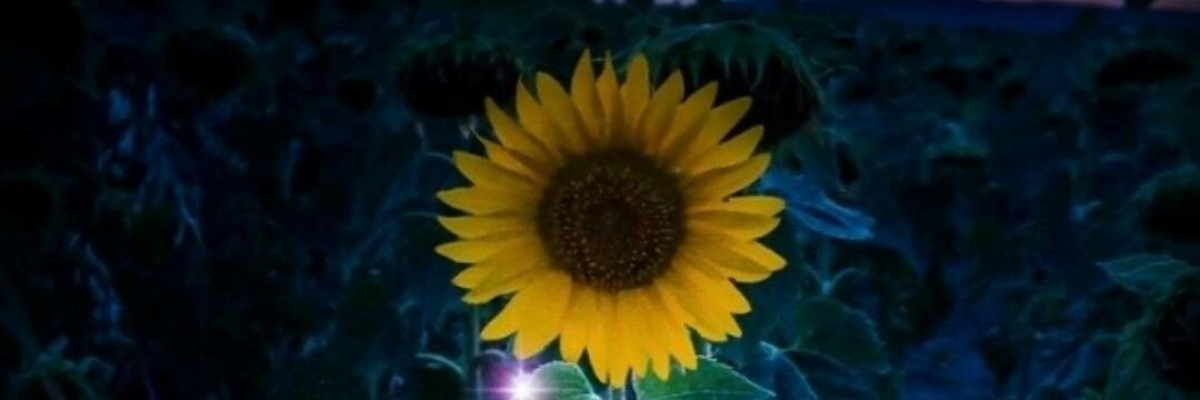 aury_rios's profile banner image