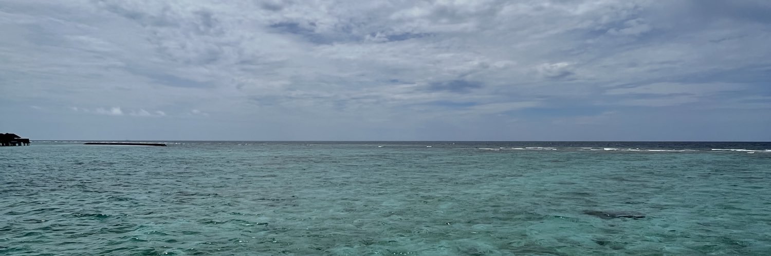SierraAlberto's profile banner image