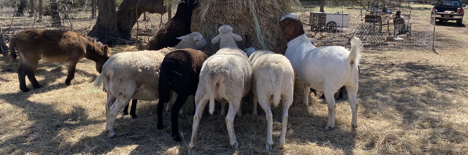 Leslie ⚔️ Fishlock banner