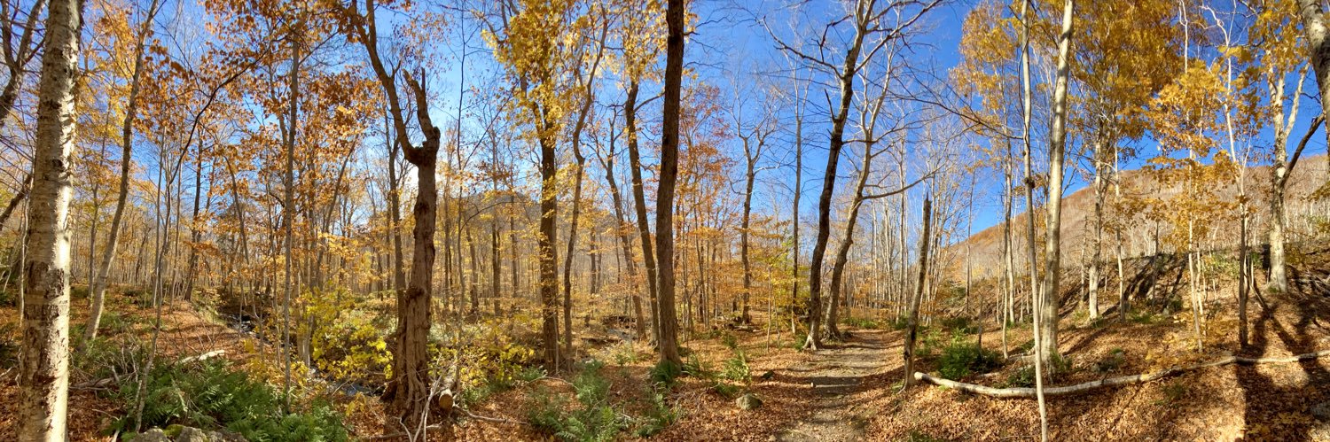 Cape Breton Mesonet banner