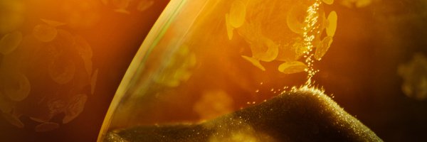 ResearchSEA Profile Banner