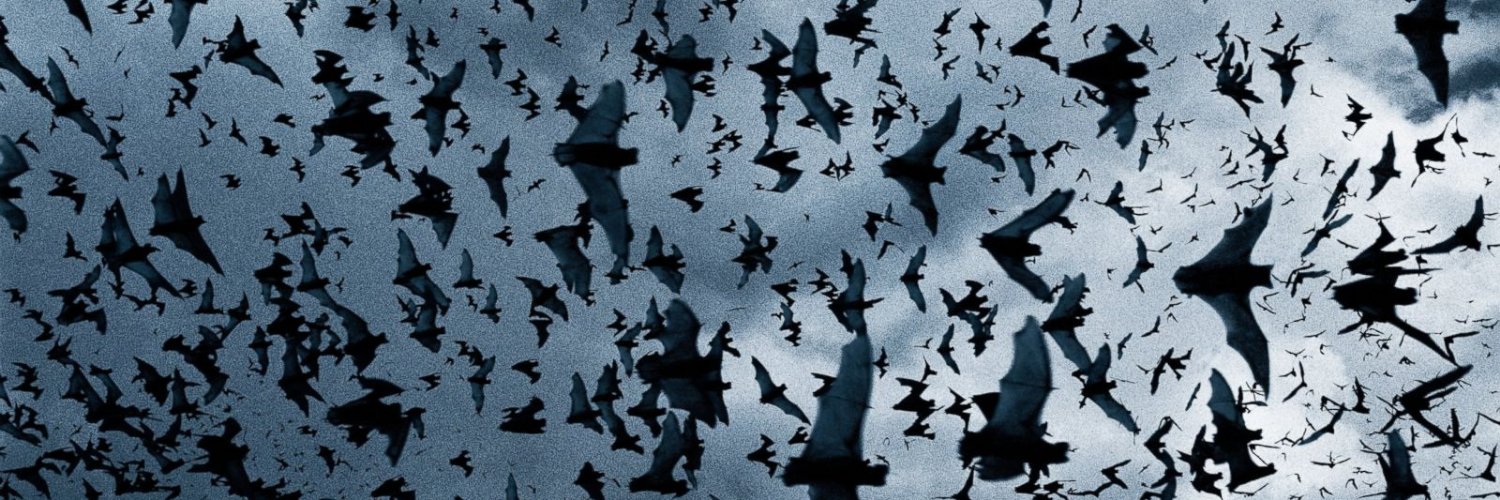 𝔐𝔦𝔰𝔱𝔶 𝔉𝔶𝔢 🦇🖤 banner