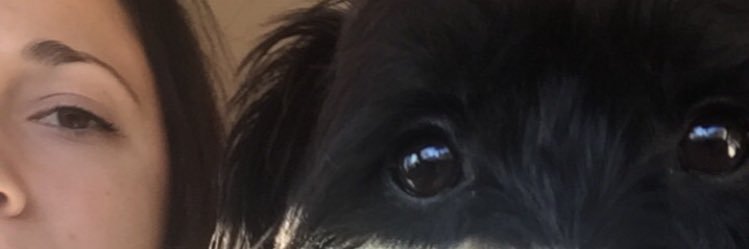 Kelsey Matus banner