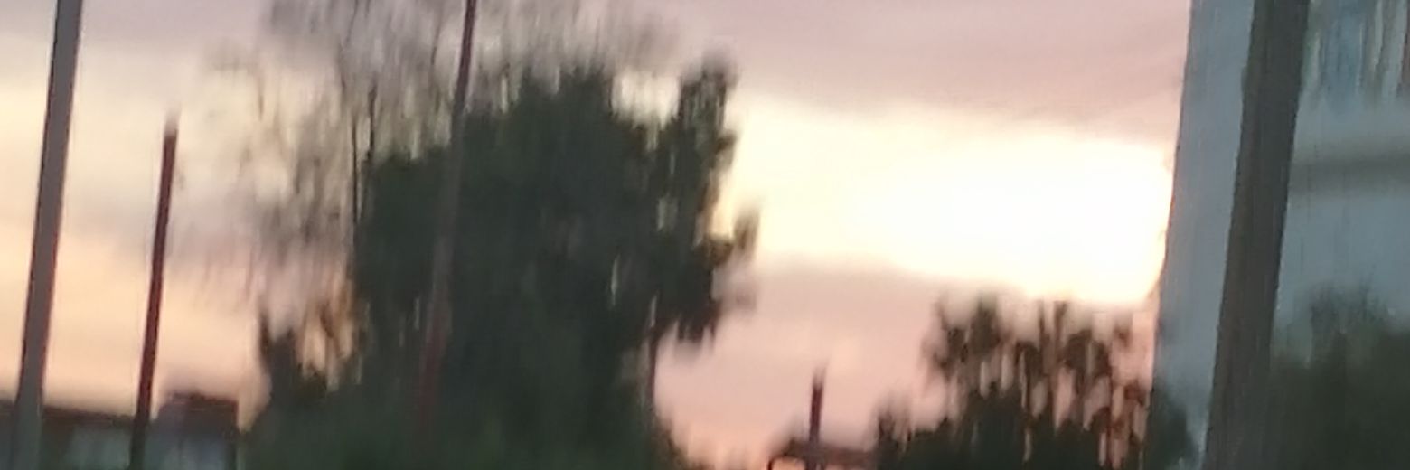 ROFCARO's profile banner image