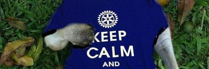 Mole Valley Rotary banner