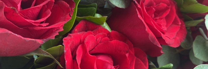 stephaniemayuga's profile banner image