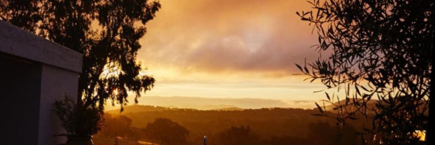 alejangar's profile banner image