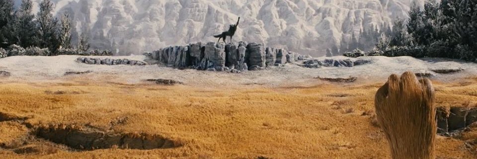 martynabomba's profile banner image