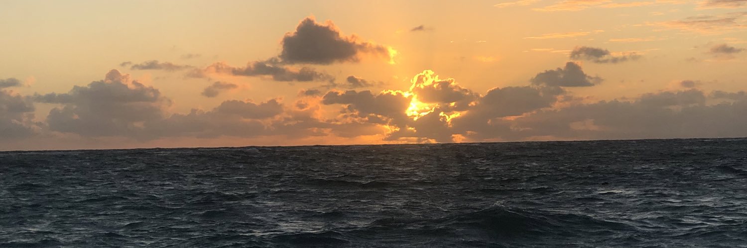 JuliScheggia's profile banner image