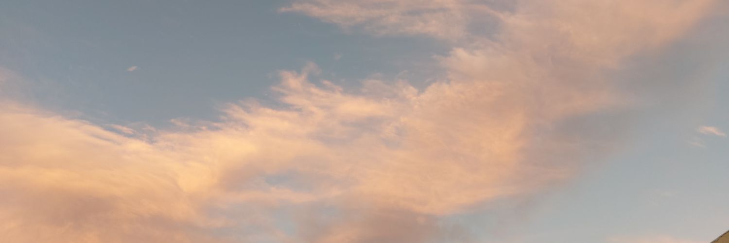 fernand35622623's profile banner image