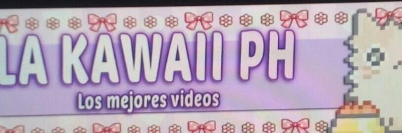 stellaph4's profile banner image