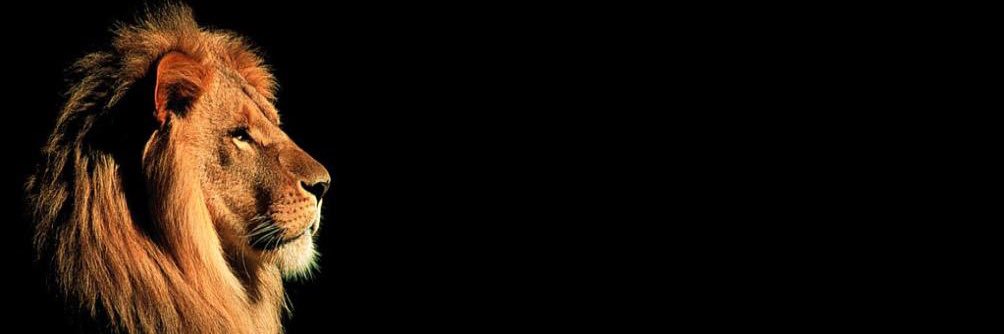 arnoldarnett's profile banner image
