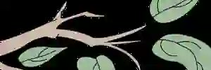 tophathat's profile banner image