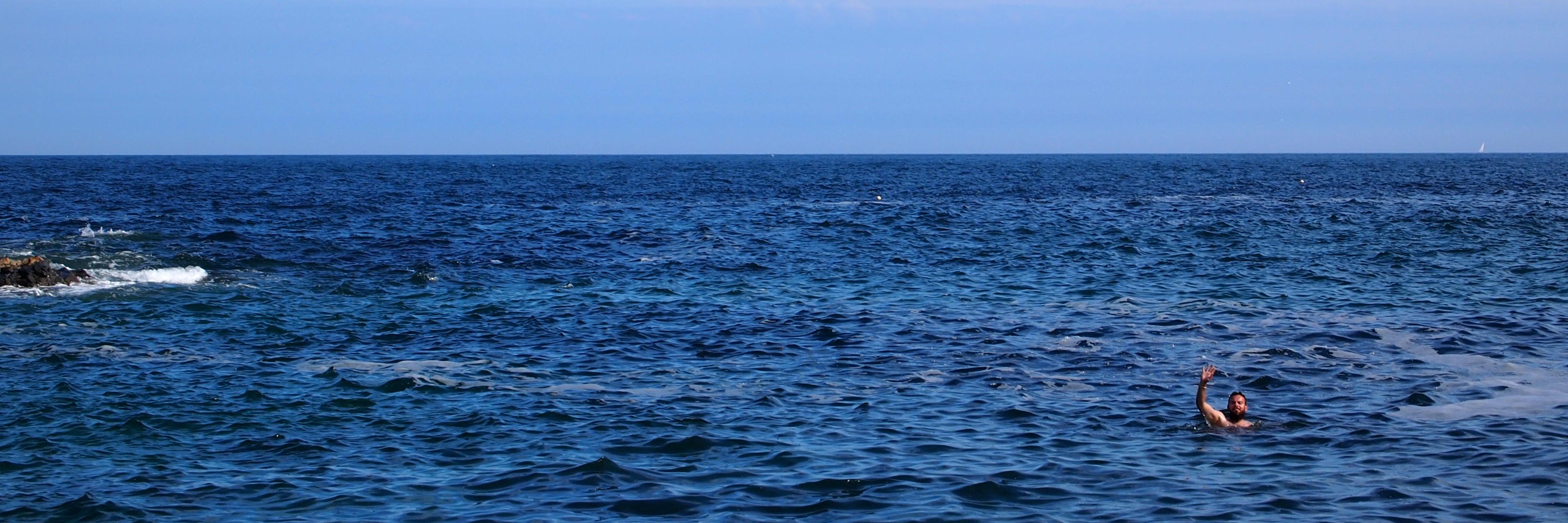 Daniel Harris banner