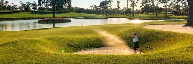 golfnobody's profile banner image