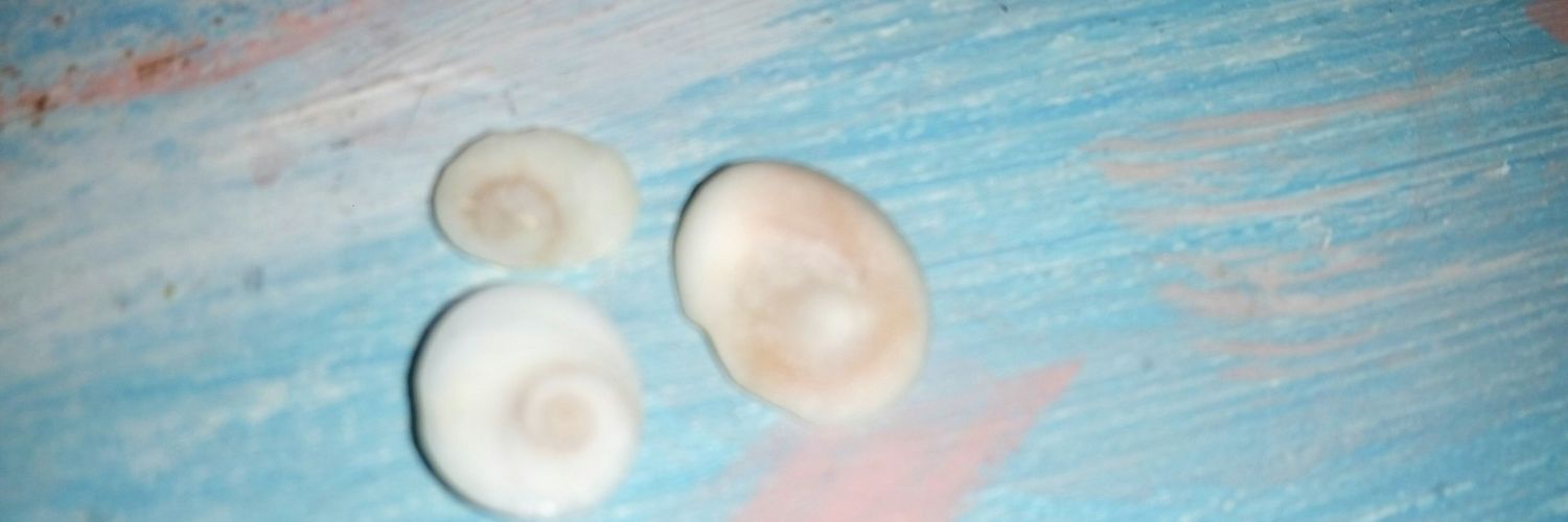 Briks banner