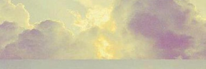 shajn8's profile banner image