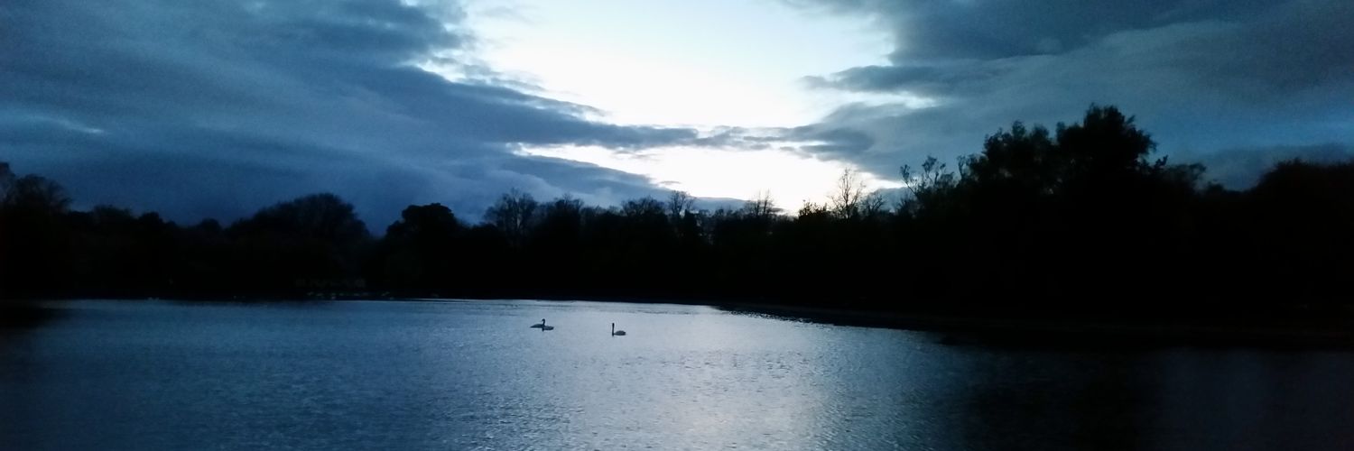 Sara Trujillo banner