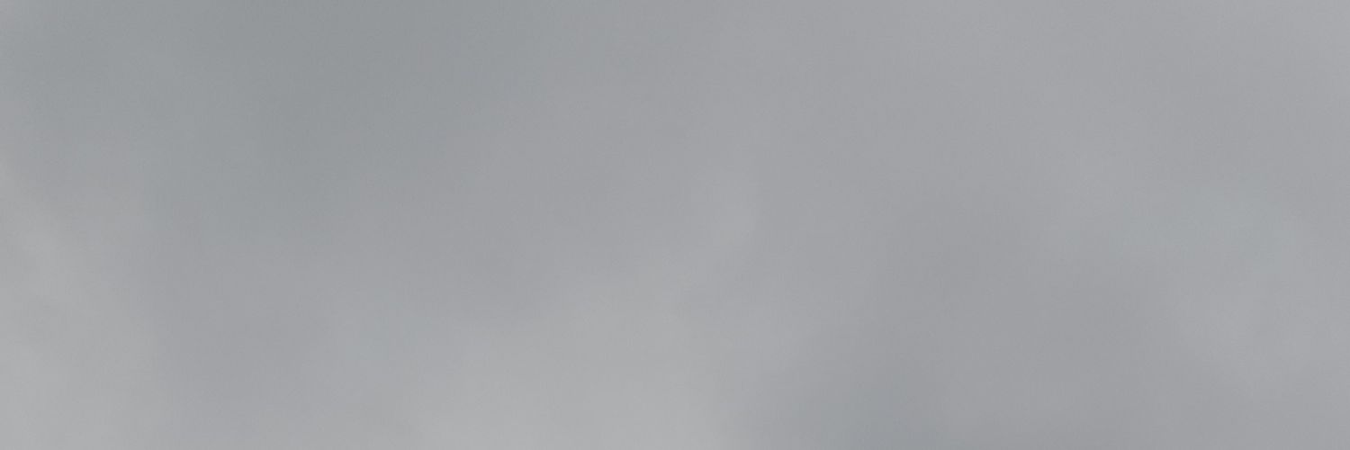 elzurdoo's profile banner image
