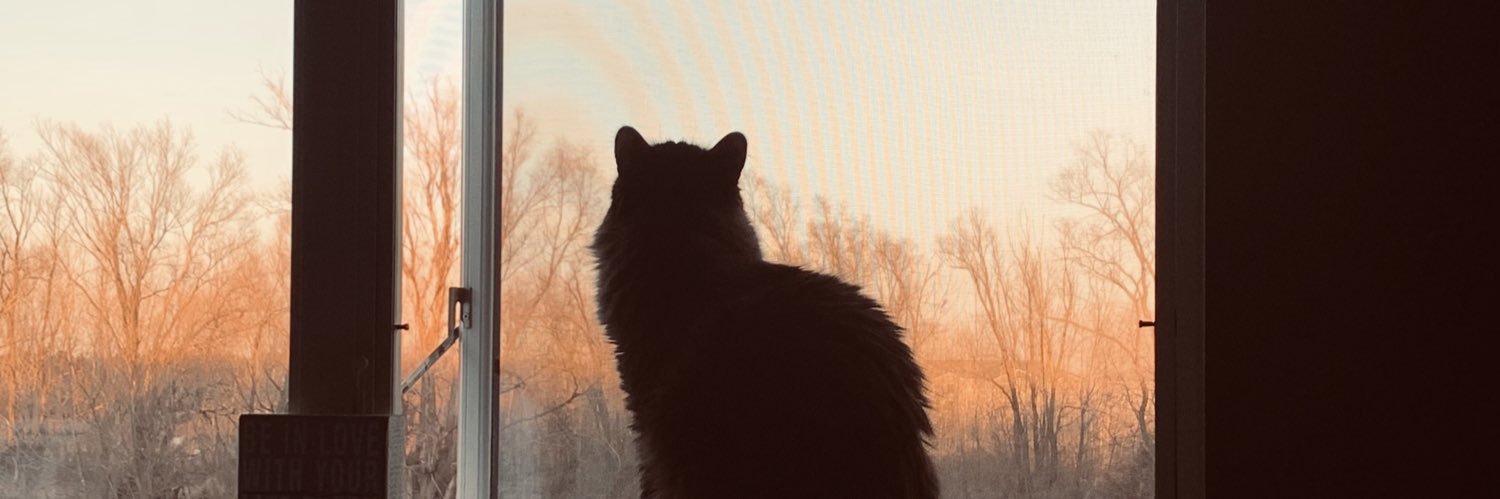 Bkapels's profile banner image