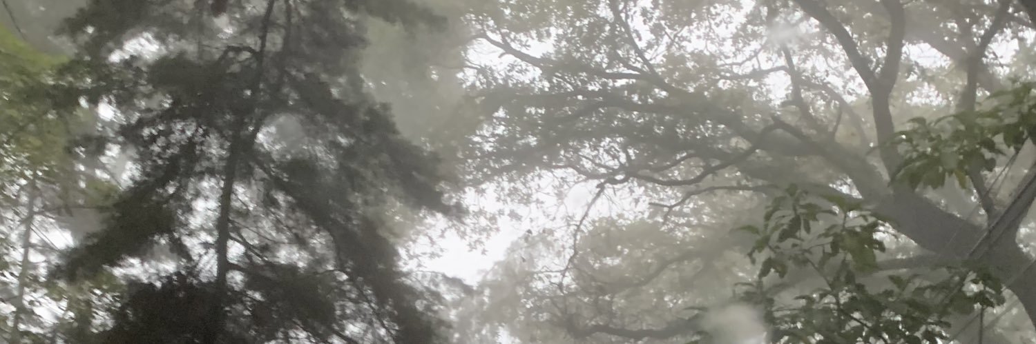 RA110200's profile banner image