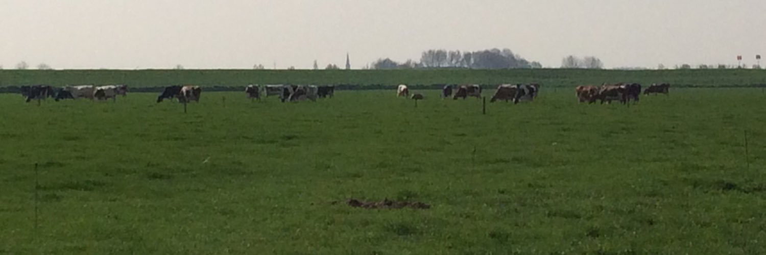 Dick van Selm banner