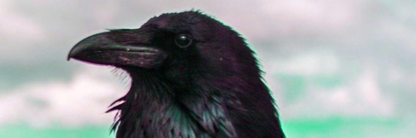 AlanDDAuthor's profile banner image