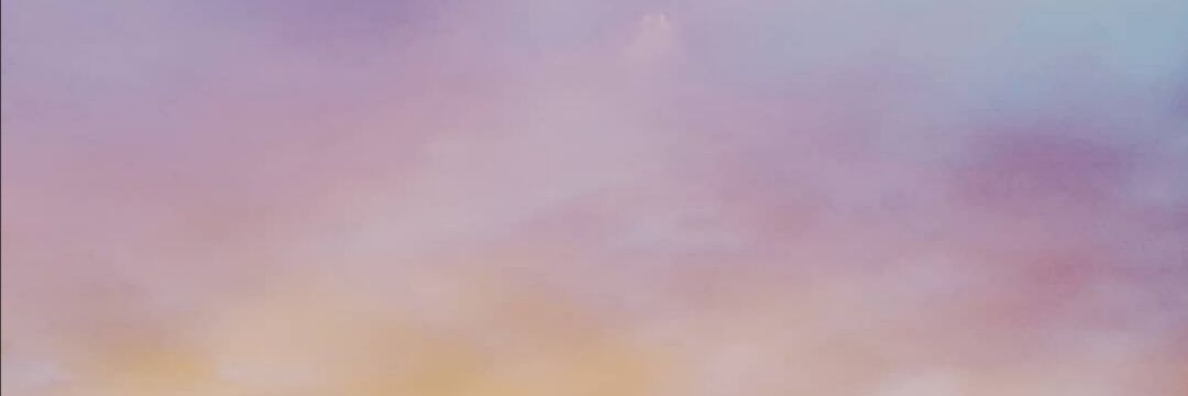 Milie_cat's profile banner image