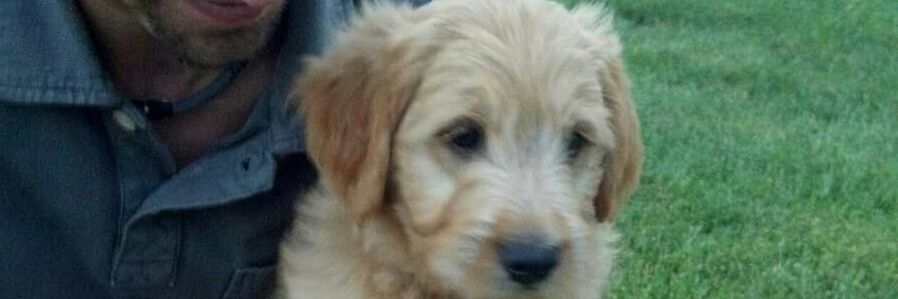 Janelle Groff banner