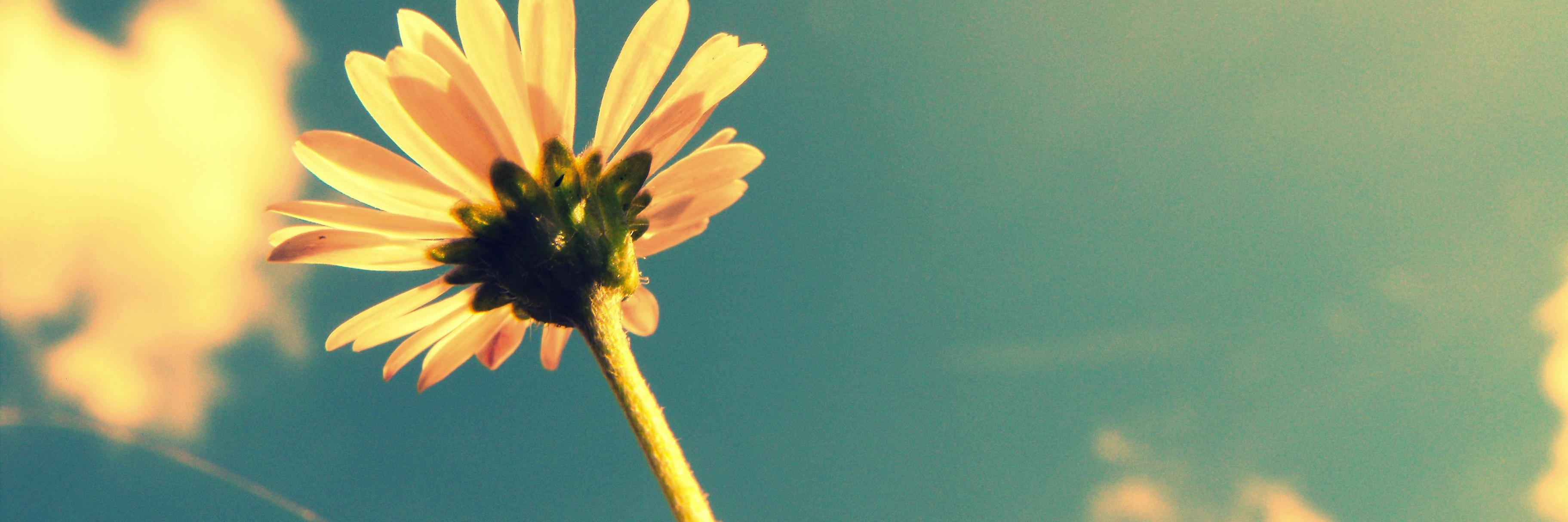 russkellbell's profile banner image